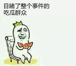 我想看吃瓜群众,网络舆论场中的旁观者与参与者